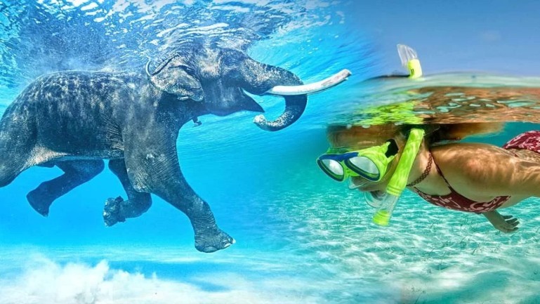 Andaman